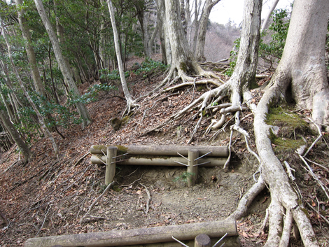 20200204hike (137)